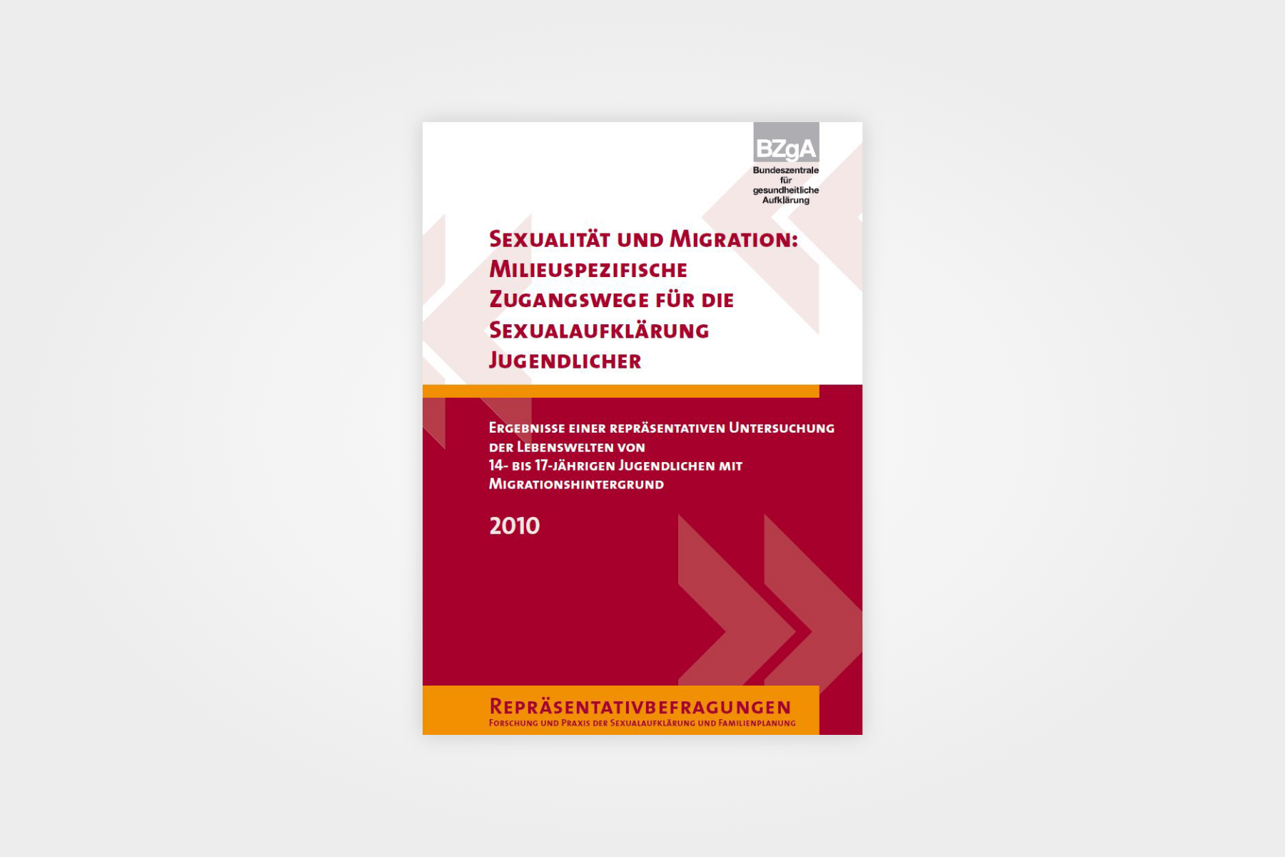 Sexualität und Migration: milieuspezifische Zugangswege für die Sexualaufklärung Jugendlicher